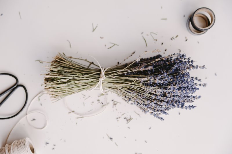Getrocknete Lavendel