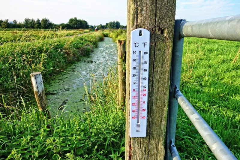 Ein Außenthermometer hängt auf einer Weide Ein Thermometer hängt im Freien an einem Zaun auf einer Wiese