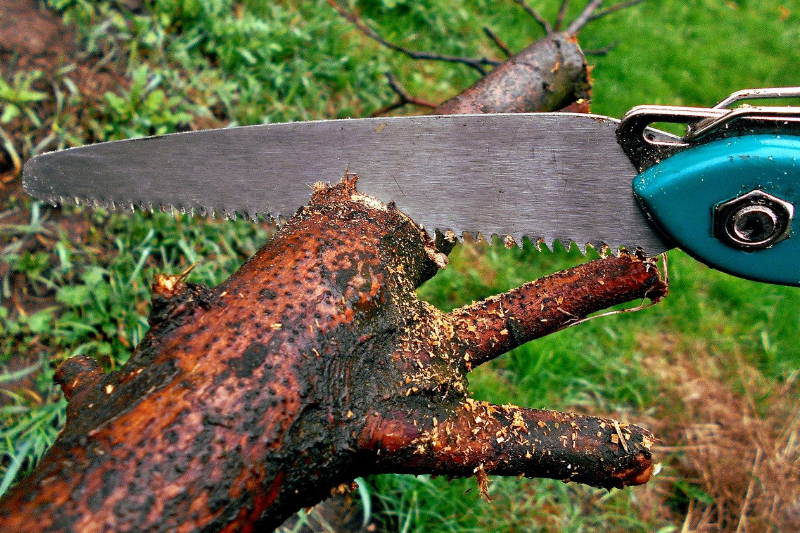 Astsäge beim Baum sägen Astsäge im Einsatz
