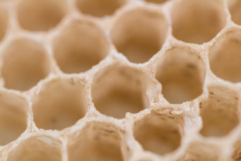 leere Waben Bienenwachs Wabe