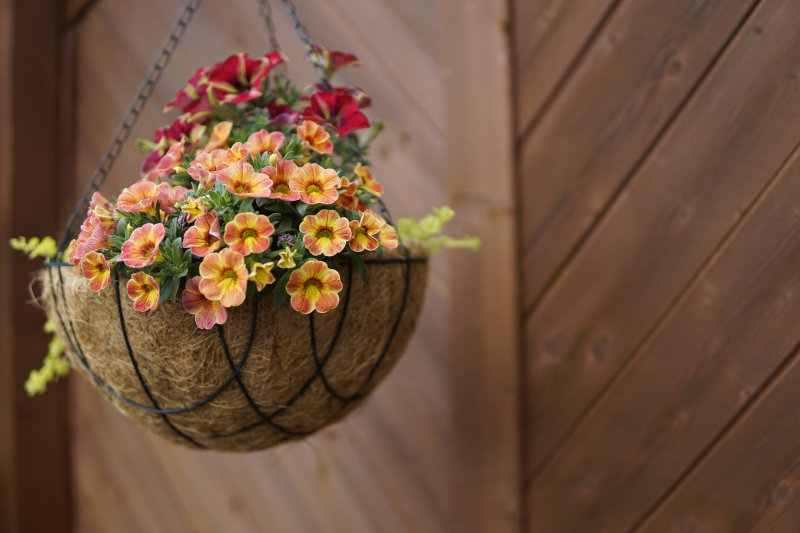Mit Blumen bepflanzte Blumenampel aus Metall mit Kokosmatte.