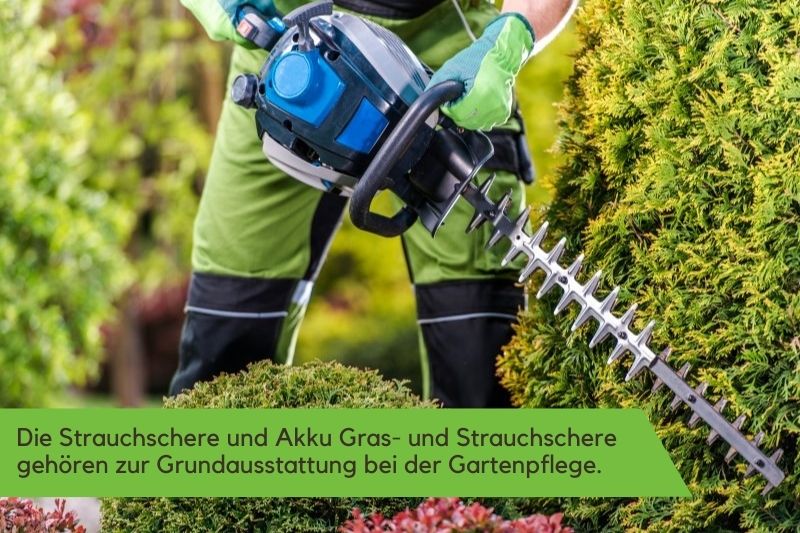 Gärtner schneidet eine Hecke mit einer Akku Strauchschere Ein Gärtner schneidet eine Hecke mit einer Akku Strauchschere