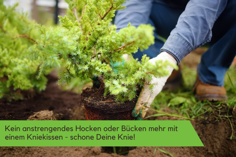 Kniekissen im Test Kniekissen bei der Gartenarbeit