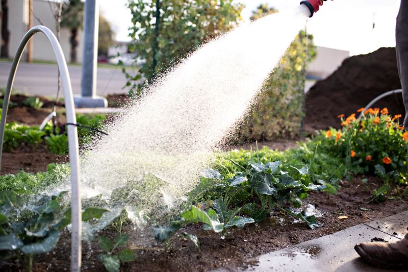Die richtige Bewässerung mit einer Gartenbrause