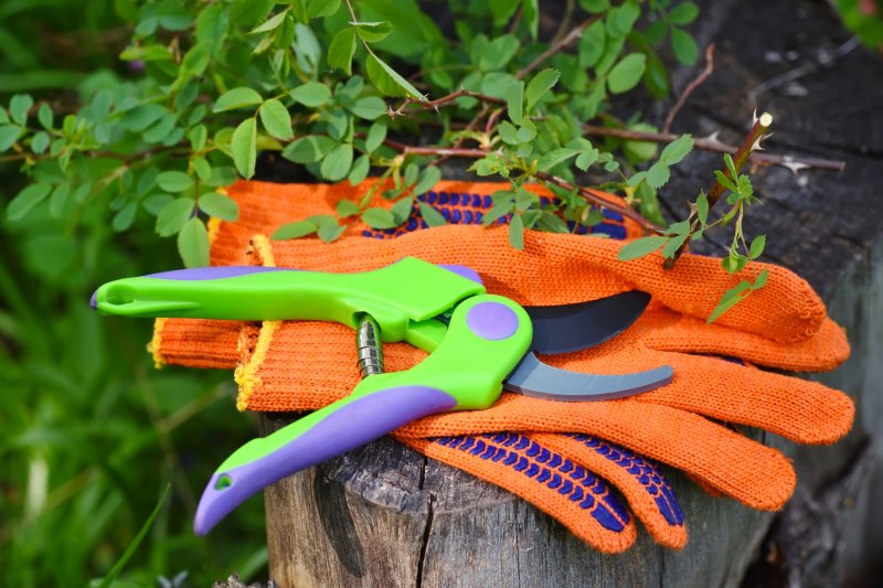Gartenschere und Handschuhe Grüne Gartenschere auf orangenen Handschuhen auf einem Zaunpfahl im Garten