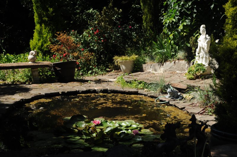 Gartenteich mit Algen und Schmutz