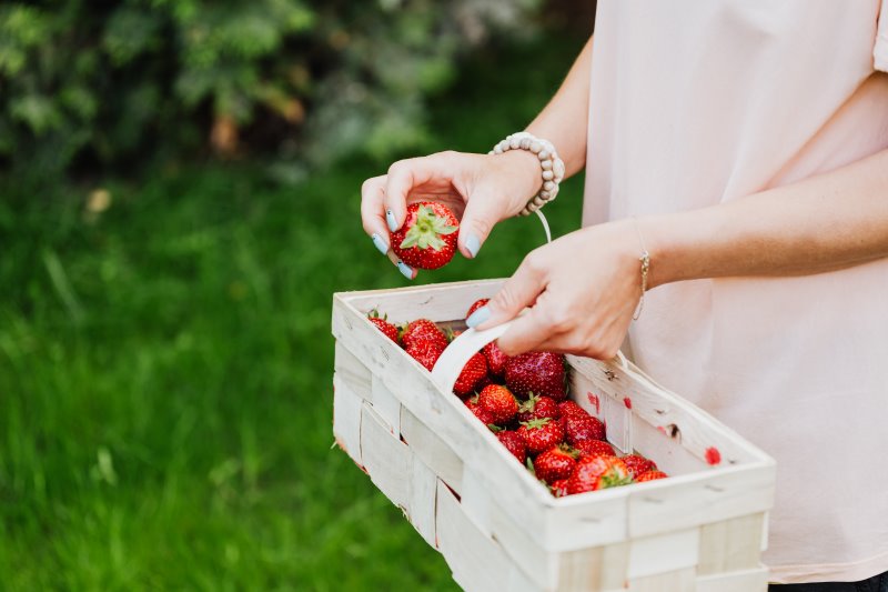 Frau mit Erntekorb und Erdbeeren Erntekorb mit Erdbeeren