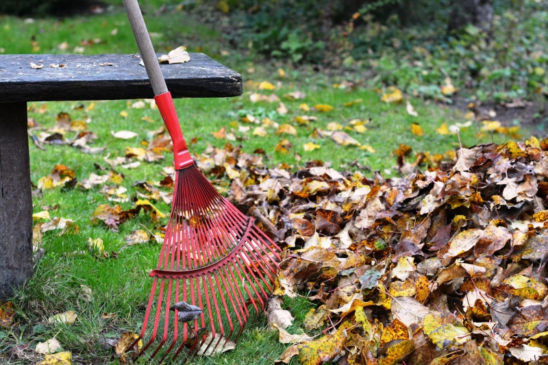 Laubbesen hält Garten ordentlich.