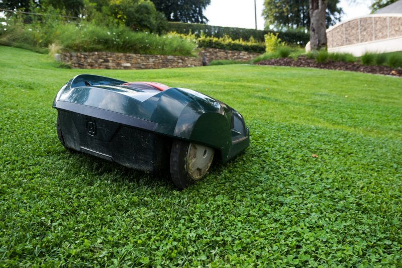 Ein Mähroboter verrichtet im Grünen seine Arbeit