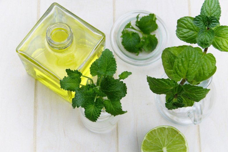 Zitronenmelissen Sirup