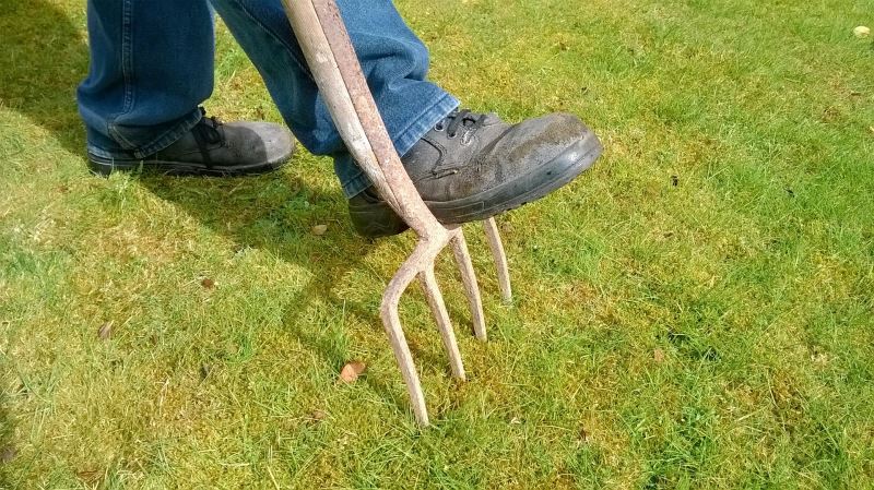 Moos auf dem Rasen wird entfernt