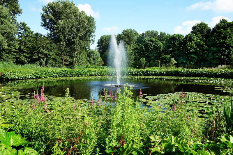 Eine Fontäne in einem Teich