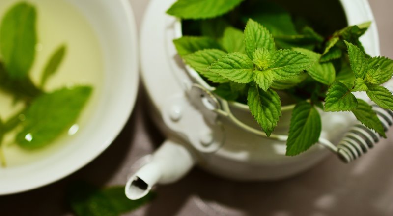 Kräuterbeet Ideen Minze Minze in Teekanne