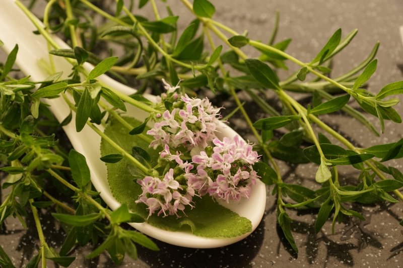 Kräuterbeet Ideen Thymian Thymian mit Blättern und Blüten