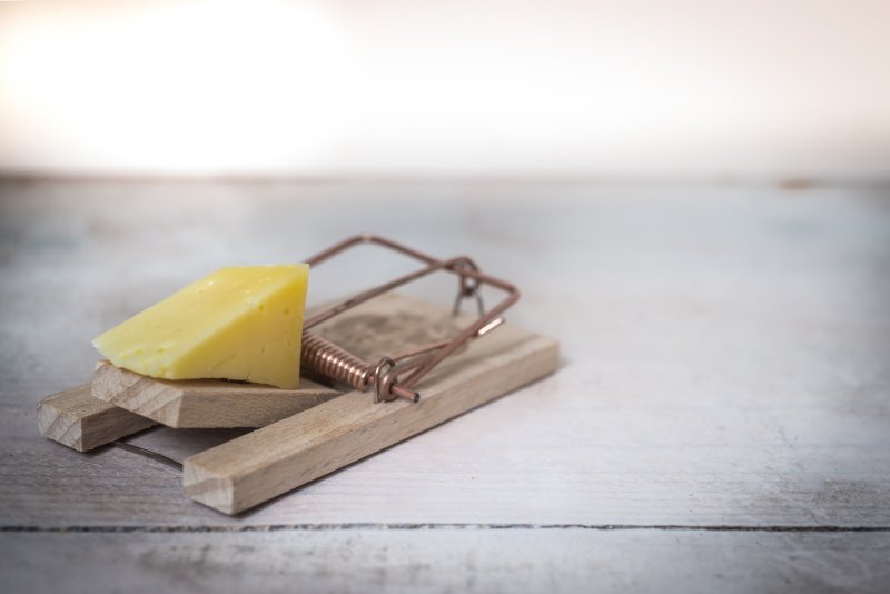 Mausefalle mit Käse Ein Stück Käse auf einer Mausefalle