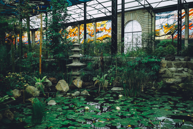 Ein Naturbelassener Teich mit japanischem Flair 