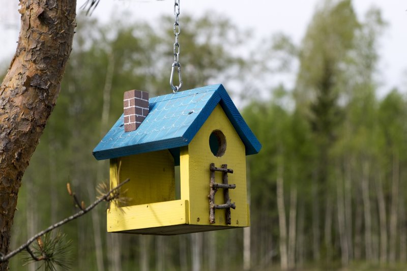 Ein Vogelhaus in einem Waldstück.
