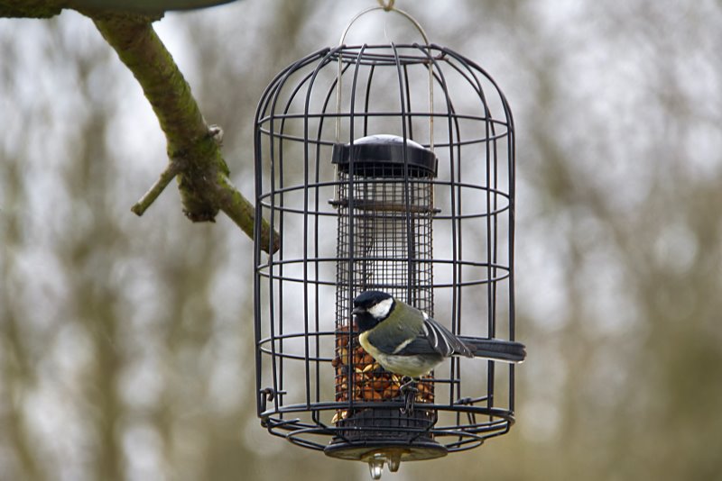 Futtersaeule mit Schutzgitter fuer Gartenvögel Futtersaeule fuer die Vogelfuetterung im Garten