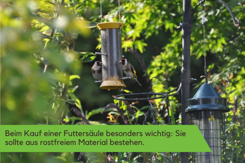 Futtersaeule fuer den Garten aus rostfreiem Material Futtersaeulen sollten aus rostfreiem Material bestehen