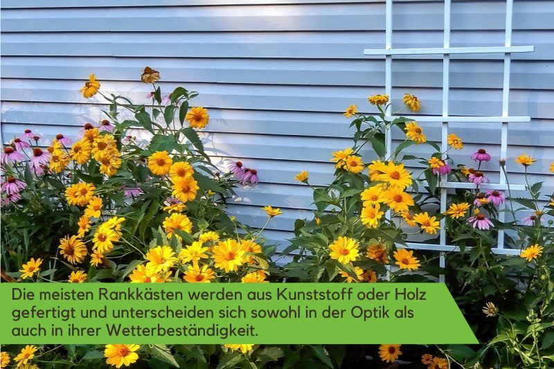 Rankkasten aus Holz oder Kunststoff
