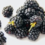 Tipps für den Anbau und die Pflege von Brombeeren