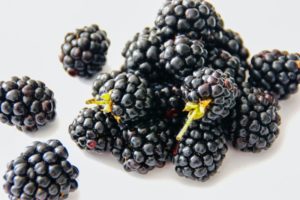 Tipps für den Anbau und die Pflege von Brombeeren