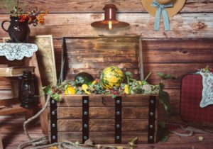 Gartenbox im Test