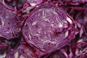 Rotkohl aufgeschnitten