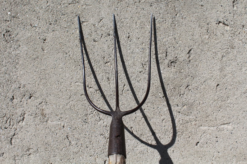 Mistgabel des Typs Heugabel vor Betonhintergrund